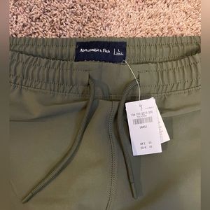 COPY - Abercrombie & Fitch Traveler Hybrid Jogger